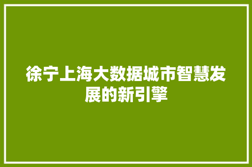 徐宁上海大数据城市智慧发展的新引擎