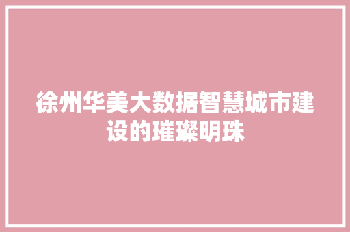 徐州华美大数据智慧城市建设的璀璨明珠