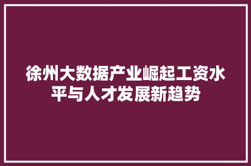 徐州大数据产业崛起工资水平与人才发展新趋势 电脑配置