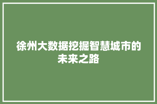 徐州大数据挖掘智慧城市的未来之路
