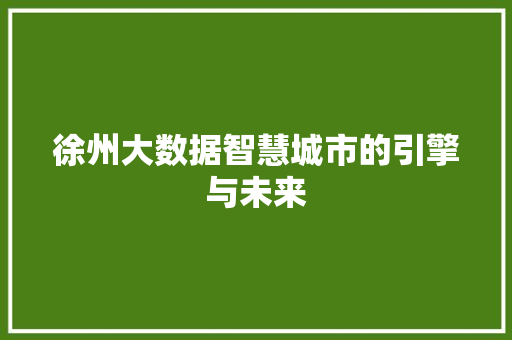 徐州大数据智慧城市的引擎与未来