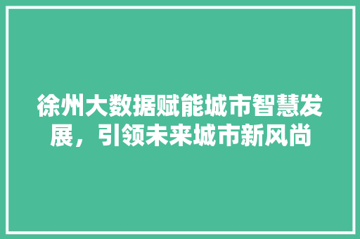 徐州大数据赋能城市智慧发展，引领未来城市新风尚 电脑基础