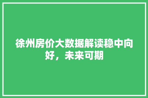 徐州房价大数据解读稳中向好，未来可期