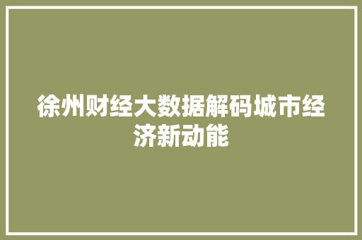 徐州财经大数据解码城市经济新动能