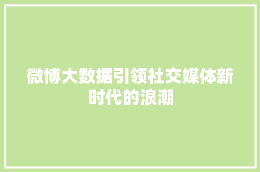 微博大数据引领社交媒体新时代的浪潮 微博大数据引领社交媒体新时代的浪潮