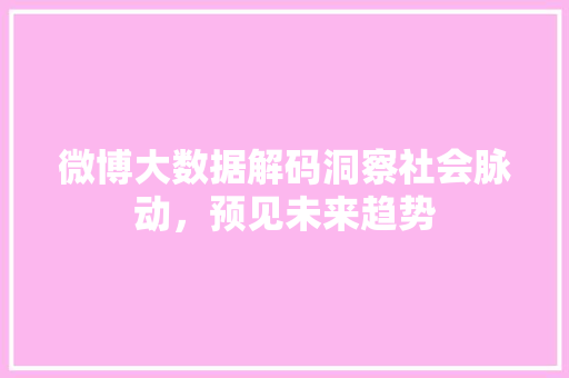 微博大数据解码洞察社会脉动，预见未来趋势 编程语言