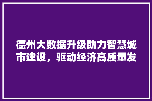 德州大数据升级助力智慧城市建设，驱动经济高质量发展