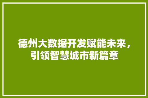 德州大数据开发赋能未来，引领智慧城市新篇章