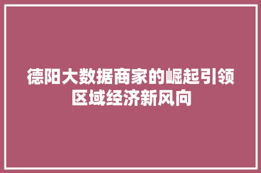 德阳大数据商家的崛起引领区域经济新风向