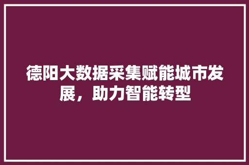德阳大数据采集赋能城市发展,助力智能转型 德阳大数据采集赋能城市发展,助力智能转型