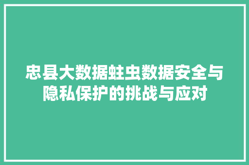 忠县大数据蛀虫数据安全与隐私保护的挑战与应对