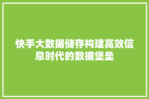 快手大数据储存构建高效信息时代的数据堡垒