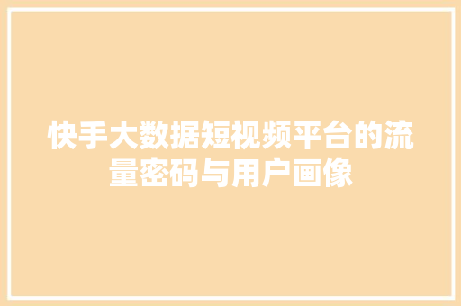 快手大数据短视频平台的流量密码与用户画像