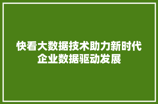 快看大数据技术助力新时代企业数据驱动发展