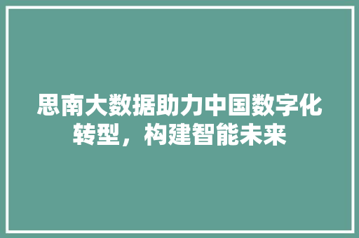 思南大数据助力中国数字化转型，构建智能未来