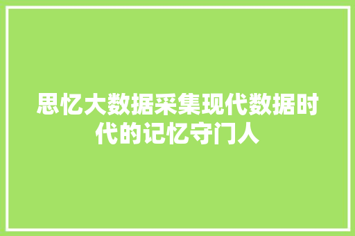 思忆大数据采集现代数据时代的记忆守门人