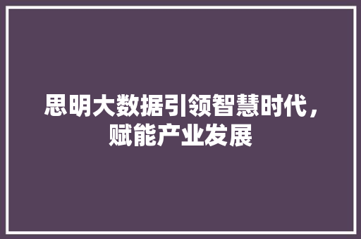 思明大数据引领智慧时代，赋能产业发展