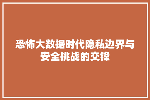 恐怖大数据时代隐私边界与安全挑战的交锋