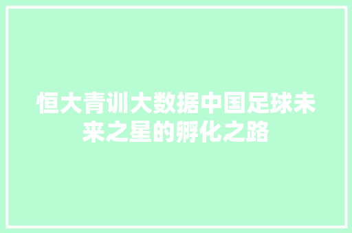 恒大青训大数据中国足球未来之星的孵化之路