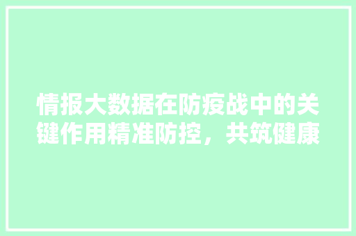 情报大数据在防疫战中的关键作用精准防控，共筑健康防线