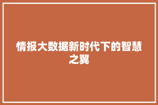 情报大数据新时代下的智慧之翼