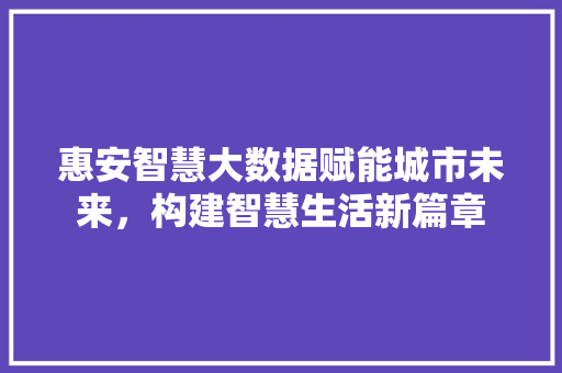 惠安智慧大数据赋能城市未来，构建智慧生活新篇章