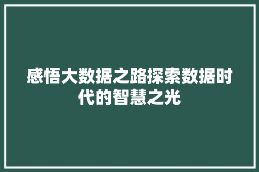 感悟大数据之路探索数据时代的智慧之光