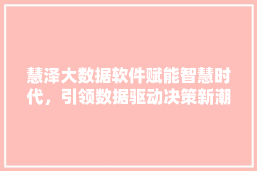 慧泽大数据软件赋能智慧时代，引领数据驱动决策新潮流