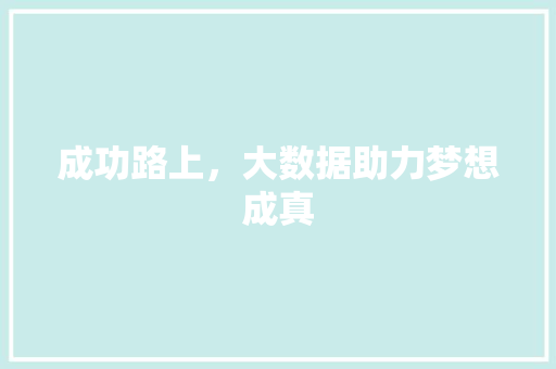 成功路上，大数据助力梦想成真