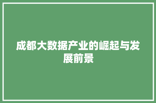 成都大数据产业的崛起与发展前景