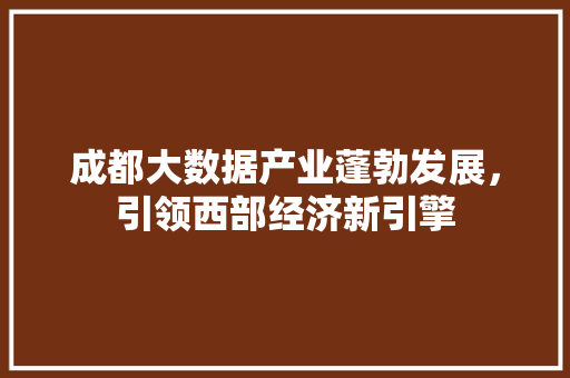 成都大数据产业蓬勃发展，引领西部经济新引擎