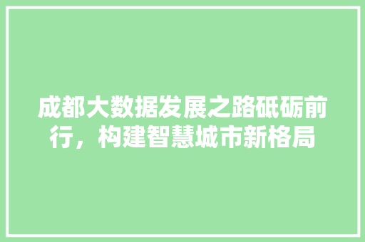 成都大数据发展之路砥砺前行，构建智慧城市新格局