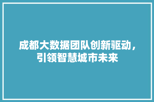 成都大数据团队创新驱动，引领智慧城市未来