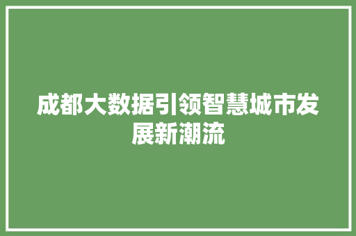 成都大数据引领智慧城市发展新潮流