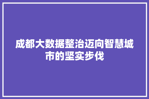 成都大数据整治迈向智慧城市的坚实步伐