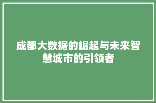 成都大数据的崛起与未来智慧城市的引领者