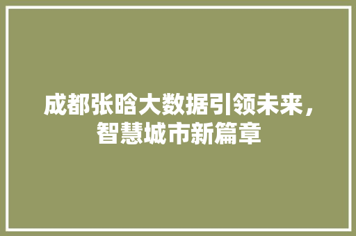 成都张晗大数据引领未来，智慧城市新篇章
