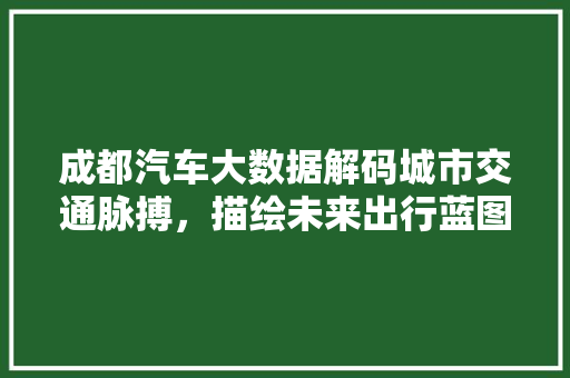 成都汽车大数据解码城市交通脉搏，描绘未来出行蓝图