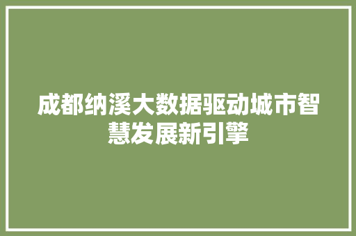 成都纳溪大数据驱动城市智慧发展新引擎