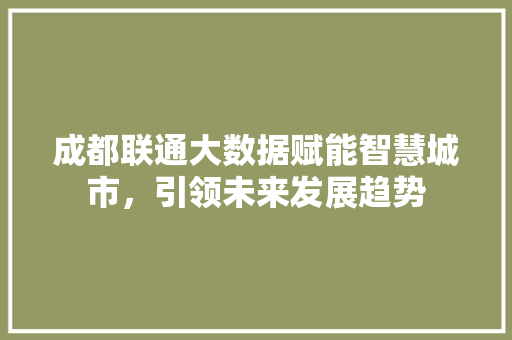 成都联通大数据赋能智慧城市，引领未来发展趋势