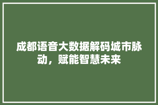 成都语音大数据解码城市脉动，赋能智慧未来