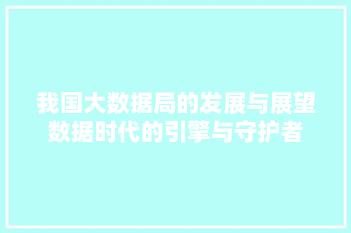 我国大数据局的发展与展望数据时代的引擎与守护者