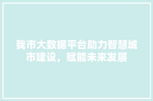 我市大数据平台助力智慧城市建设，赋能未来发展