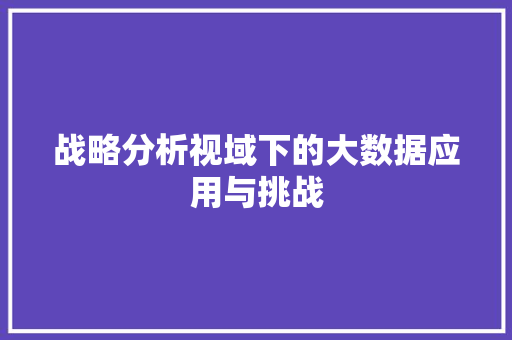 战略分析视域下的大数据应用与挑战