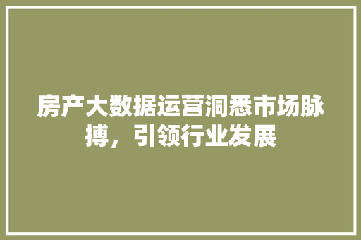 房产大数据运营洞悉市场脉搏，引领行业发展