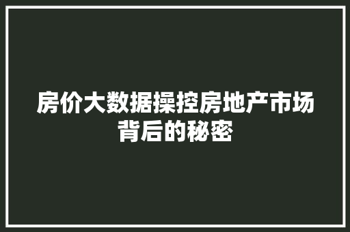 房价大数据操控房地产市场背后的秘密