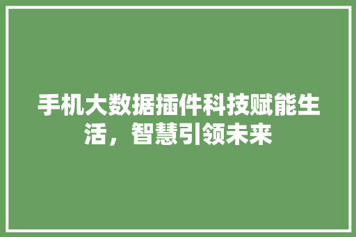 手机大数据插件科技赋能生活，智慧引领未来