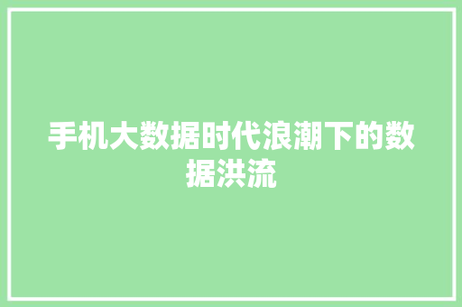 手机大数据时代浪潮下的数据洪流
