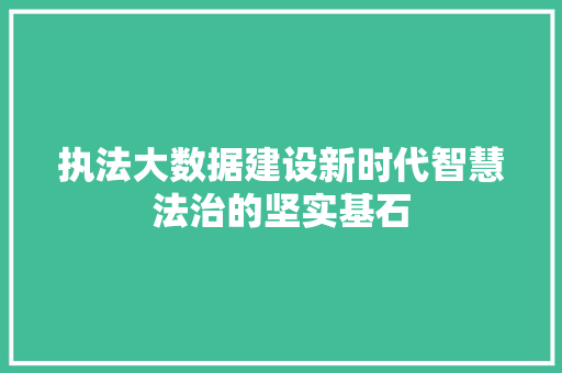 执法大数据建设新时代智慧法治的坚实基石