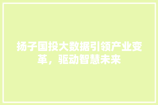 扬子国投大数据引领产业变革，驱动智慧未来